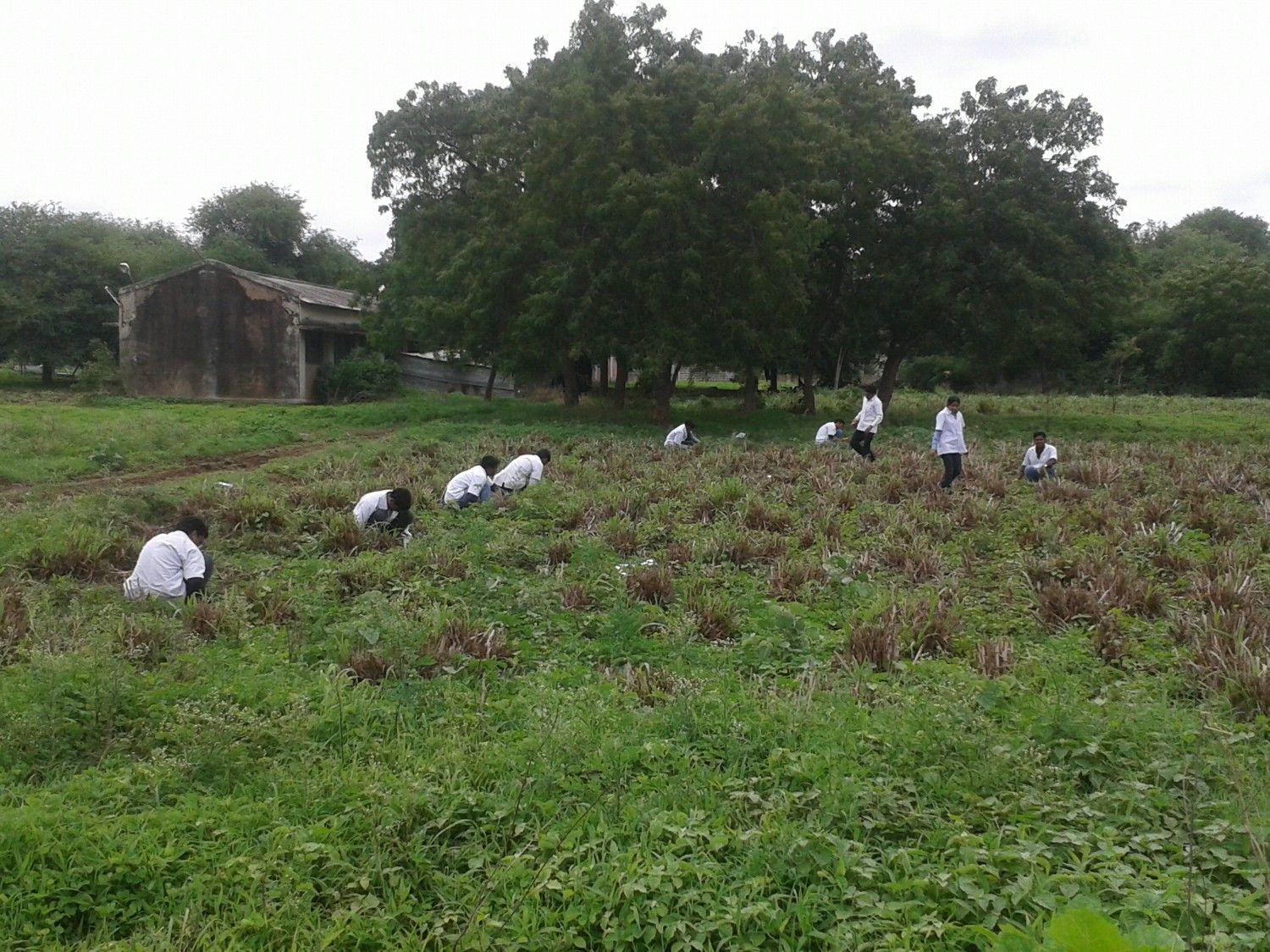 Students Performing Practical 9